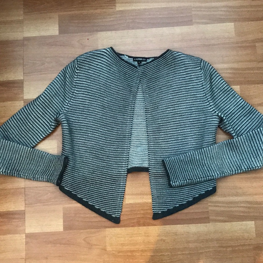 Express grey and white stripe sweater